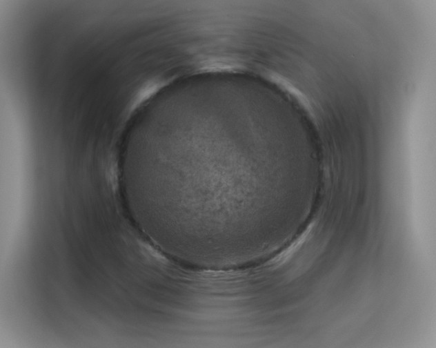 X0000113631306200909251212