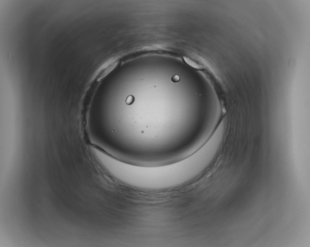 X0000113631308200909251212