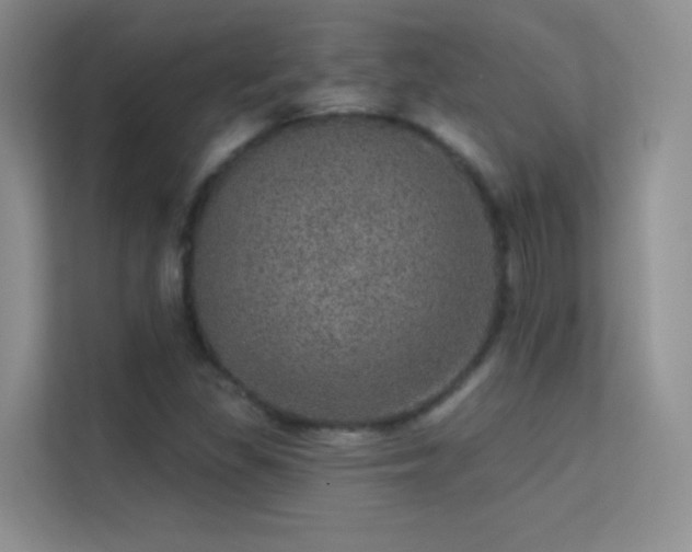 X0000113631309200909251212