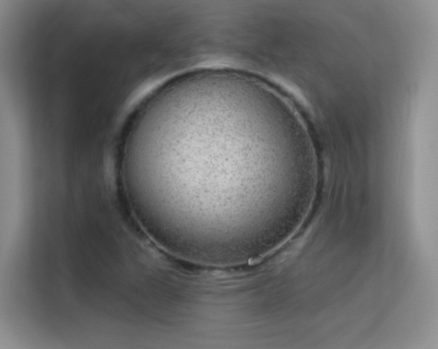 X0000113631311200909251212