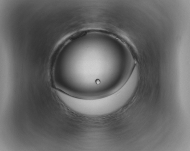 X0000113631312200909251212