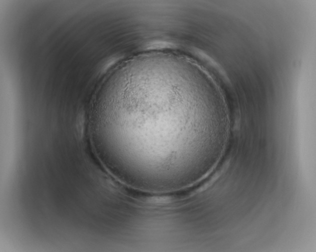 X0000113631313200909251212