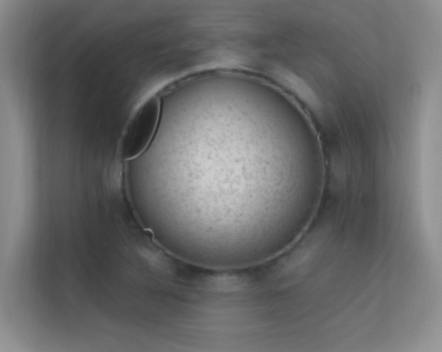 X0000113631316200909251212
