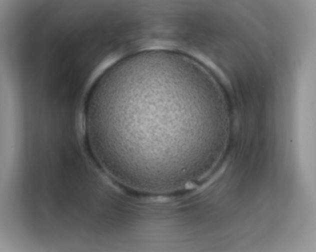 X0000113631317200909251212