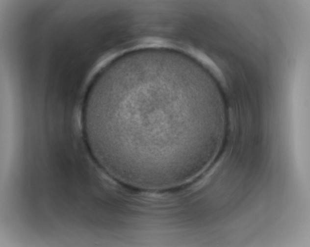 X0000113631318200909251212