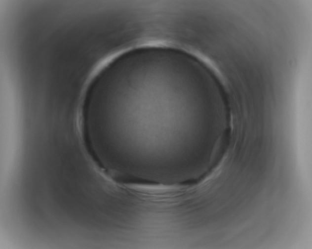 X0000113631319200909251212