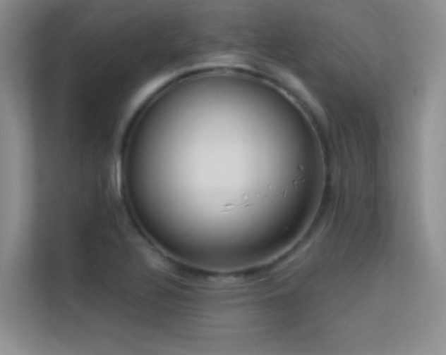 X0000113631320200909251212
