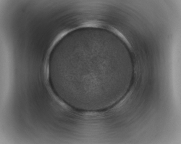 X0000113631323200909251212