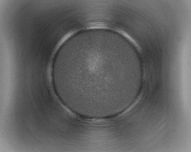 X0000113631325200909251212