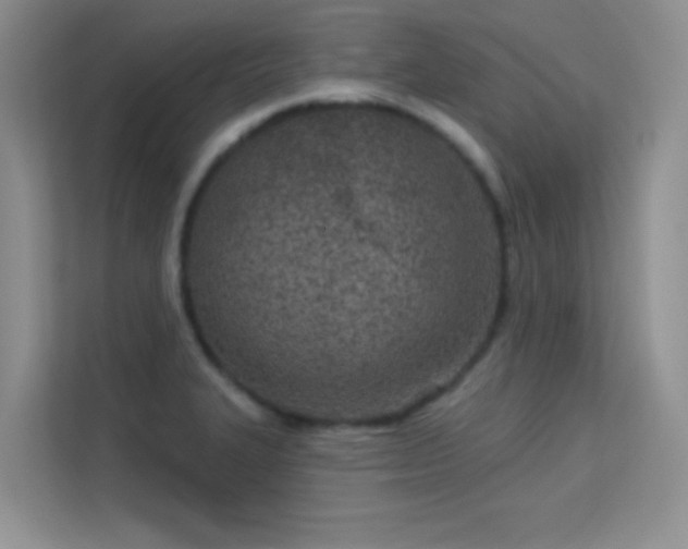 X0000113631327200909251212