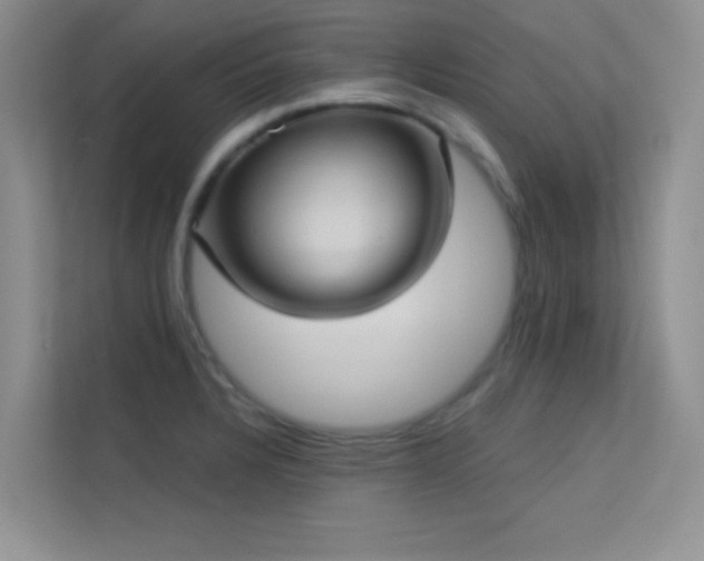 X0000113631328200909251212