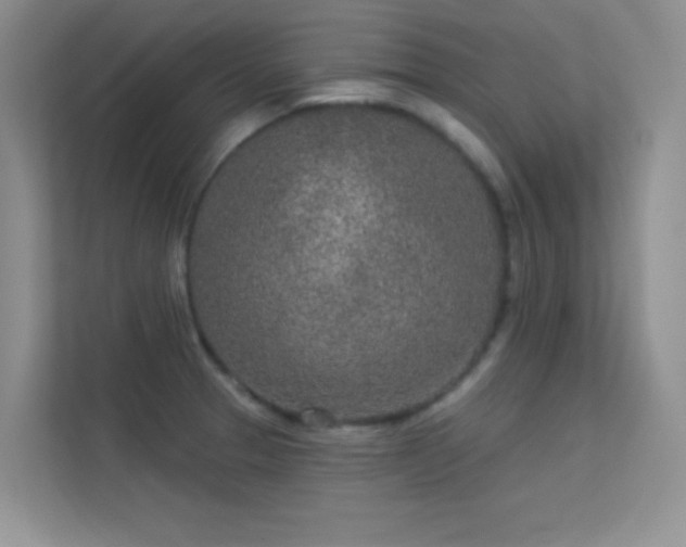 X0000113631329200909251213