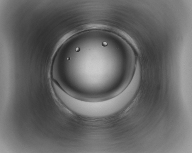 X0000113631330200909251213
