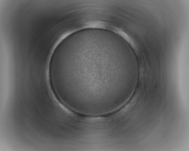 X0000113631331200909251213