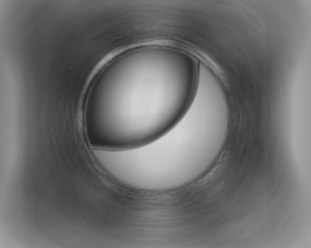 X0000113631332200909251213