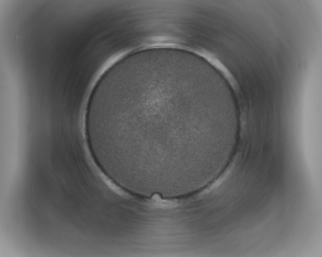 X0000113631333200909251213