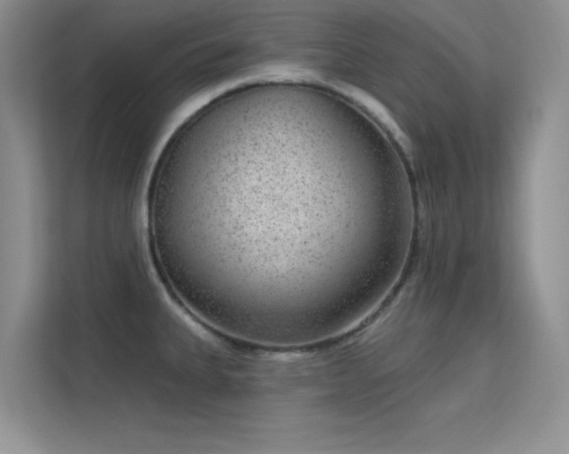 X0000113631335200909251213
