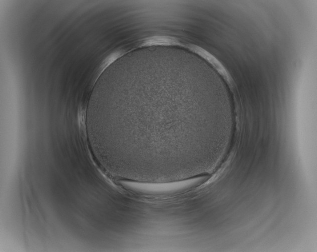 X0000113631337200909251213
