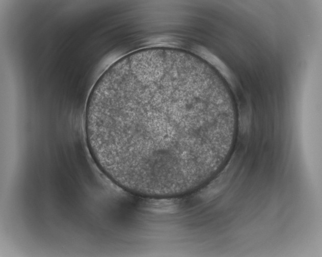 X0000113631338200909251213