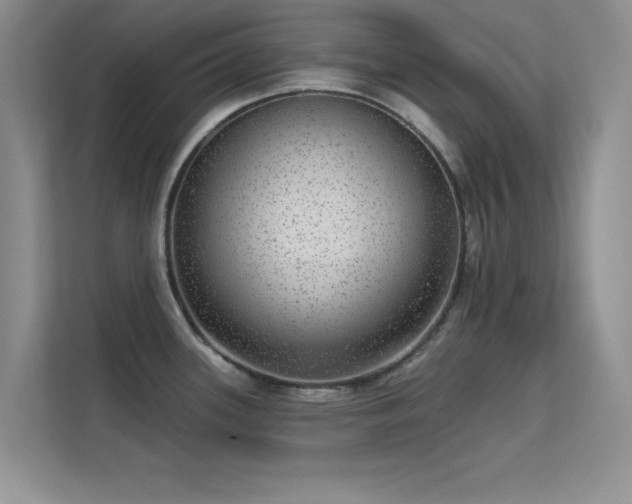 X0000113631339200909251213