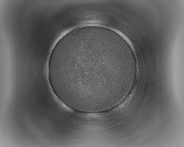 X0000113631341200909251213