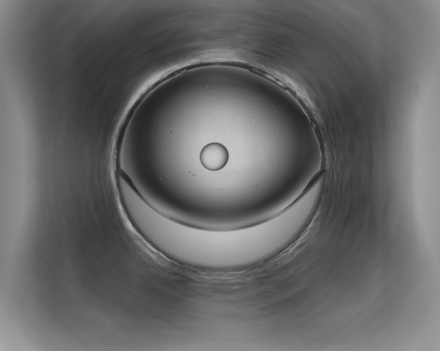 X0000113631342200909251213
