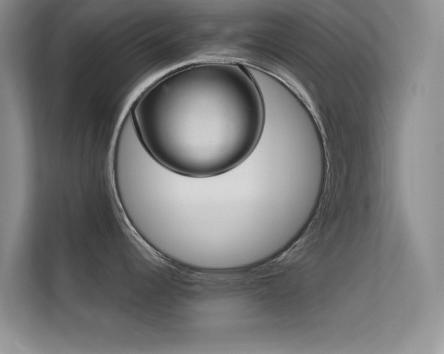 X0000113631344200909251213