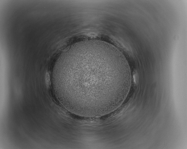 X0000113631347200909251212
