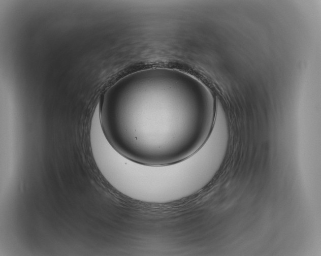 X0000113631348200909251212