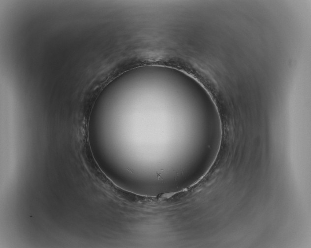 X0000113631349200909251212