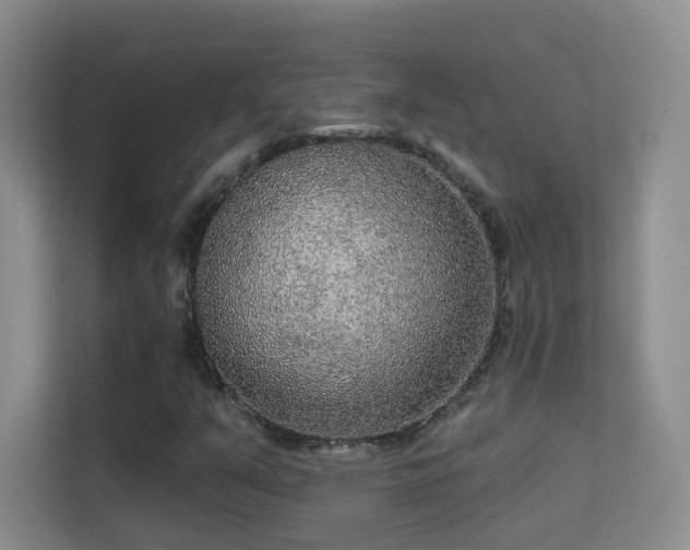 X0000113631351200909251212