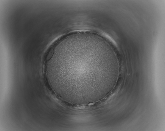 X0000113631352200909251212