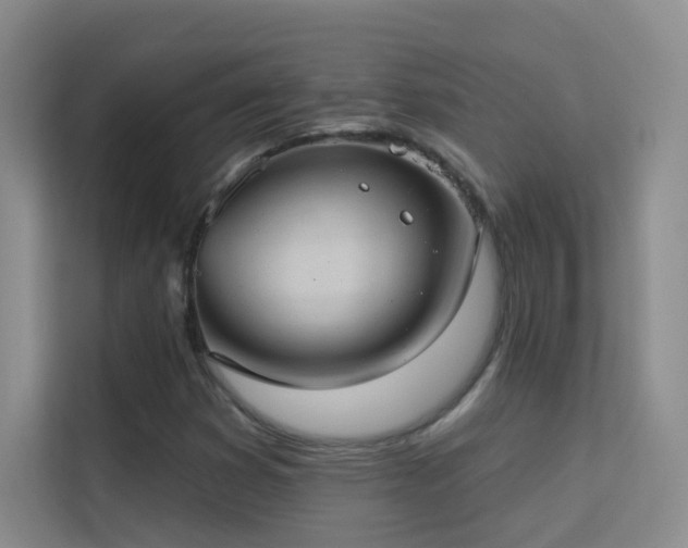 X0000113631353200909251212