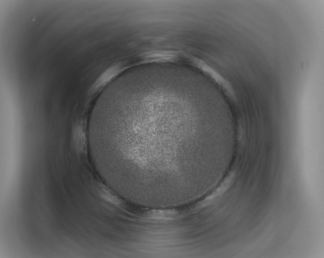 X0000113631354200909251212
