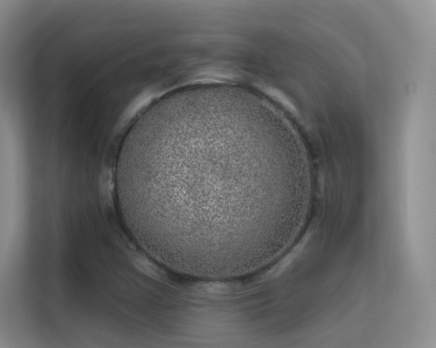 X0000113631355200909251212