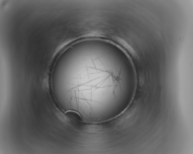 X0000113631356200909251212