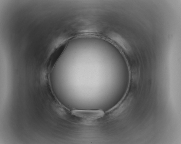 X0000113631357200909251212