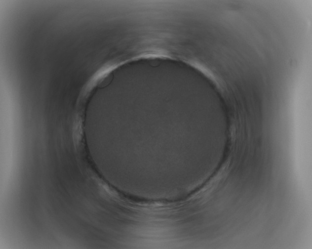 X0000113631359200909251212