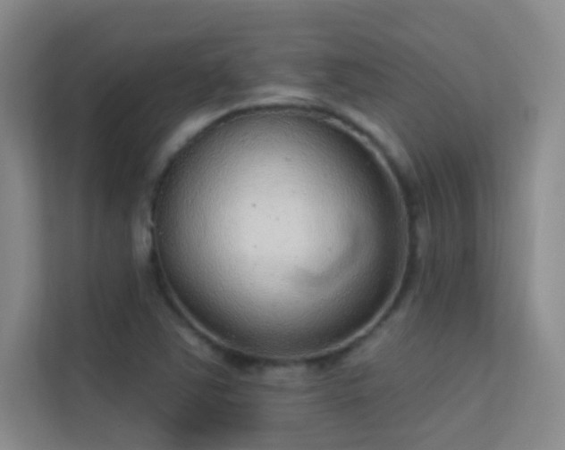 X0000113631363200909251212