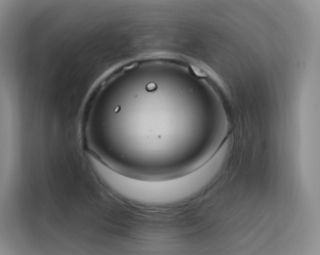 X0000113631364200909251212