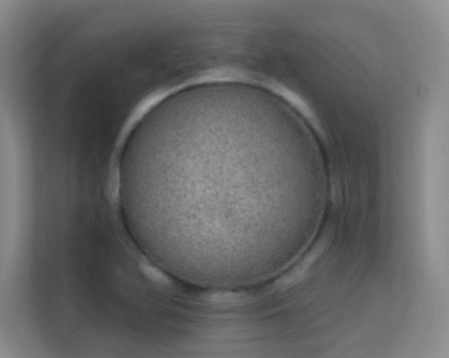 X0000113631366200909251212