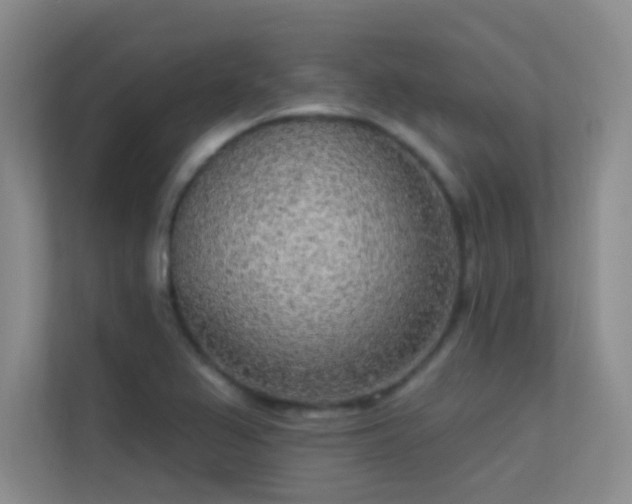 X0000113631367200909251212