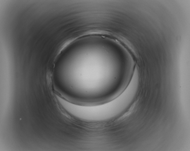 X0000113631369200909251212