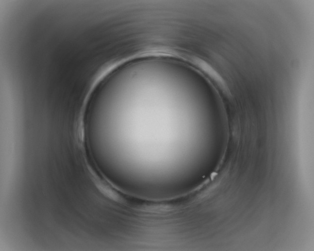 X0000113631372200909251212