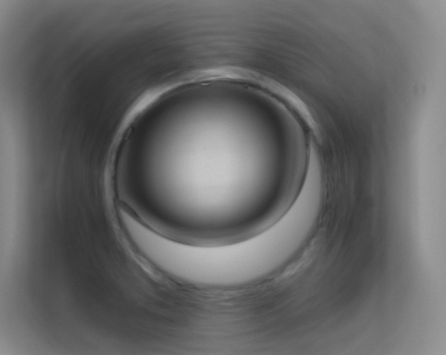 X0000113631373200909251212