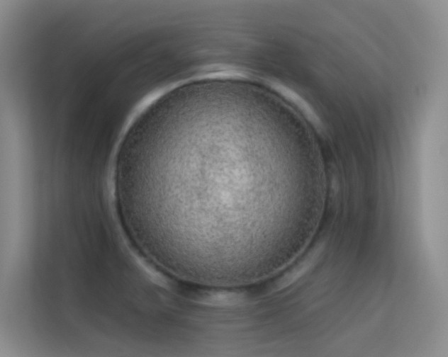 X0000113631375200909251212