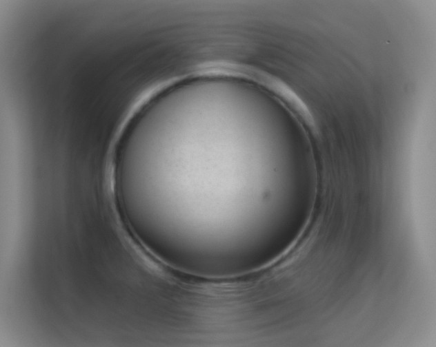 X0000113631376200909251212