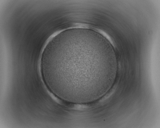 X0000113631379200909251212