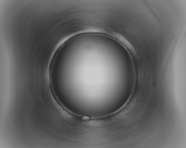 X0000113631380200909251212