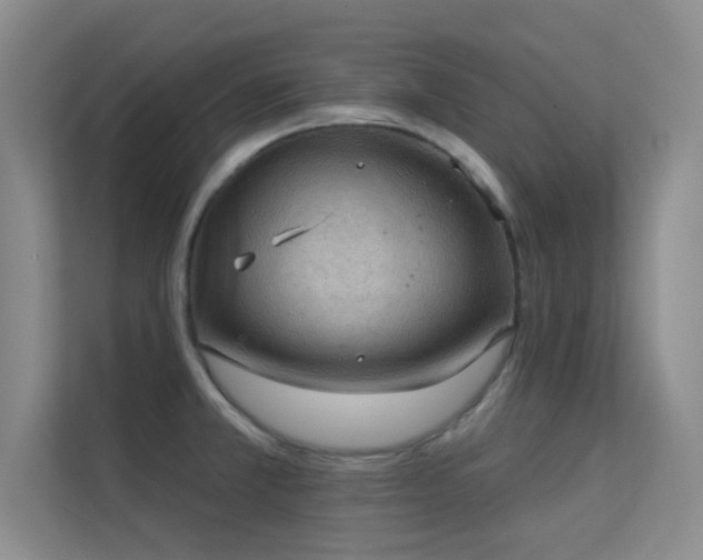 X0000113631381200909251212